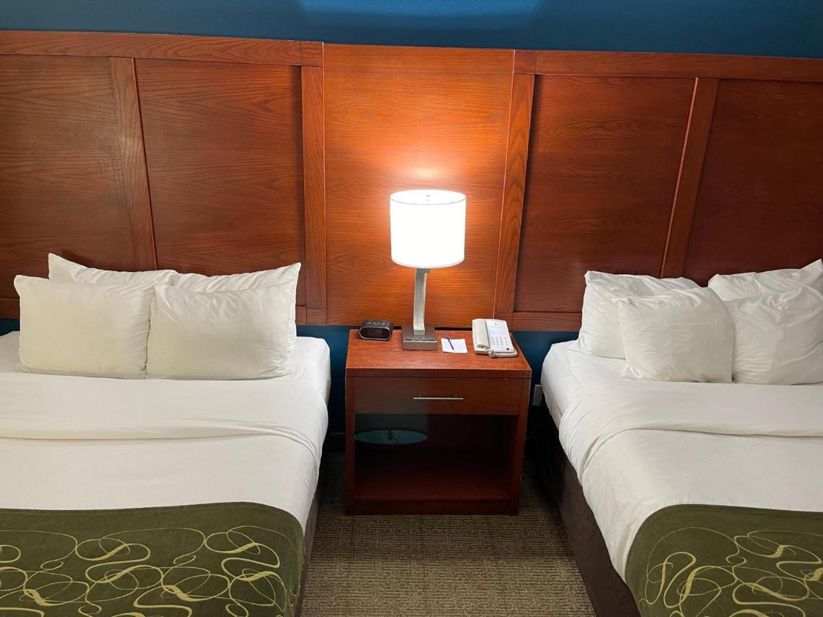 Queen Suite with Two Queen Beds - Non-Smoking,1350416290:JPEG